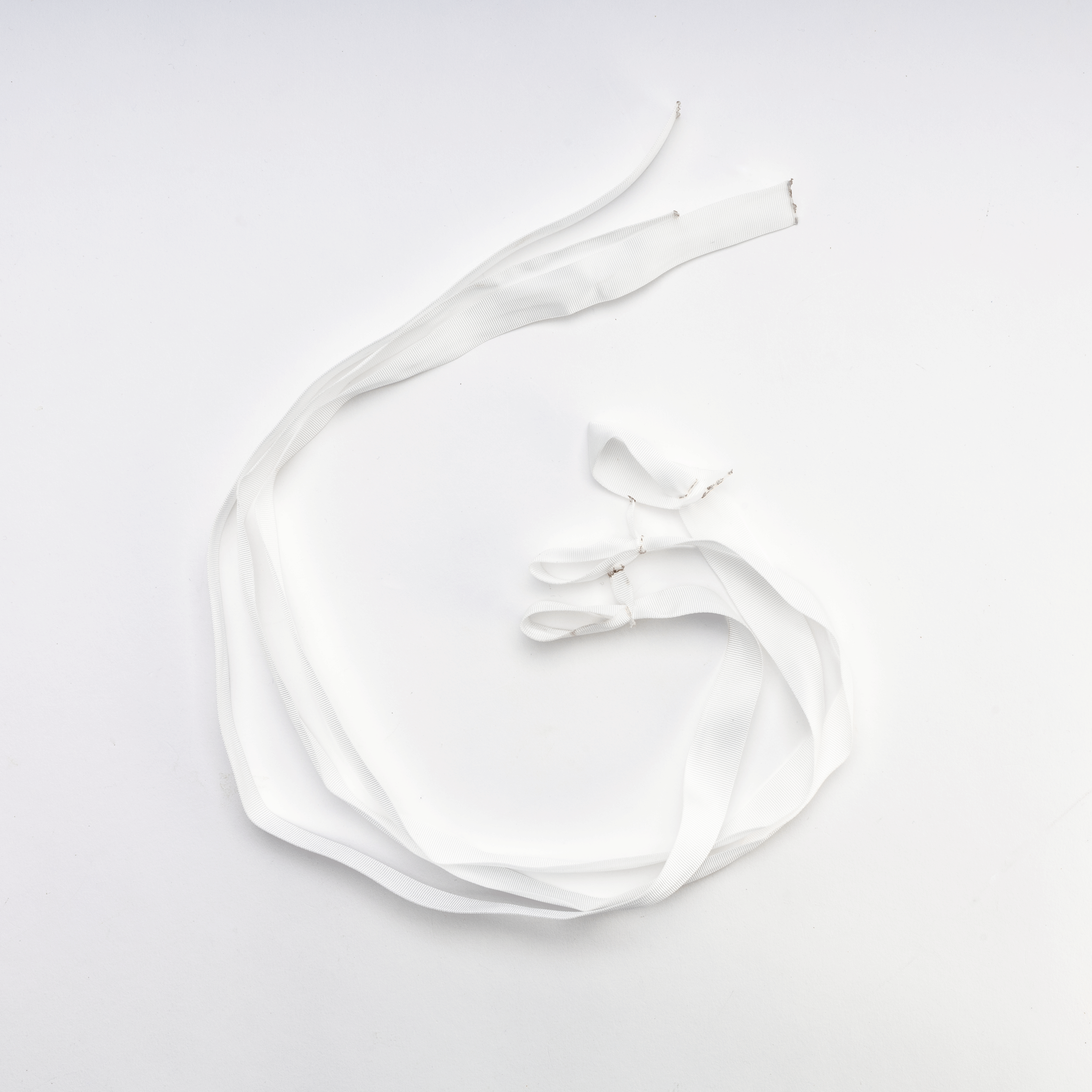 未開封 RIBBON \"Beautiful & Resistance\" ラレーヌ Namzi-b 10 Yards Fabric Crinkled Ribbon,Silk-Like Wrinkled