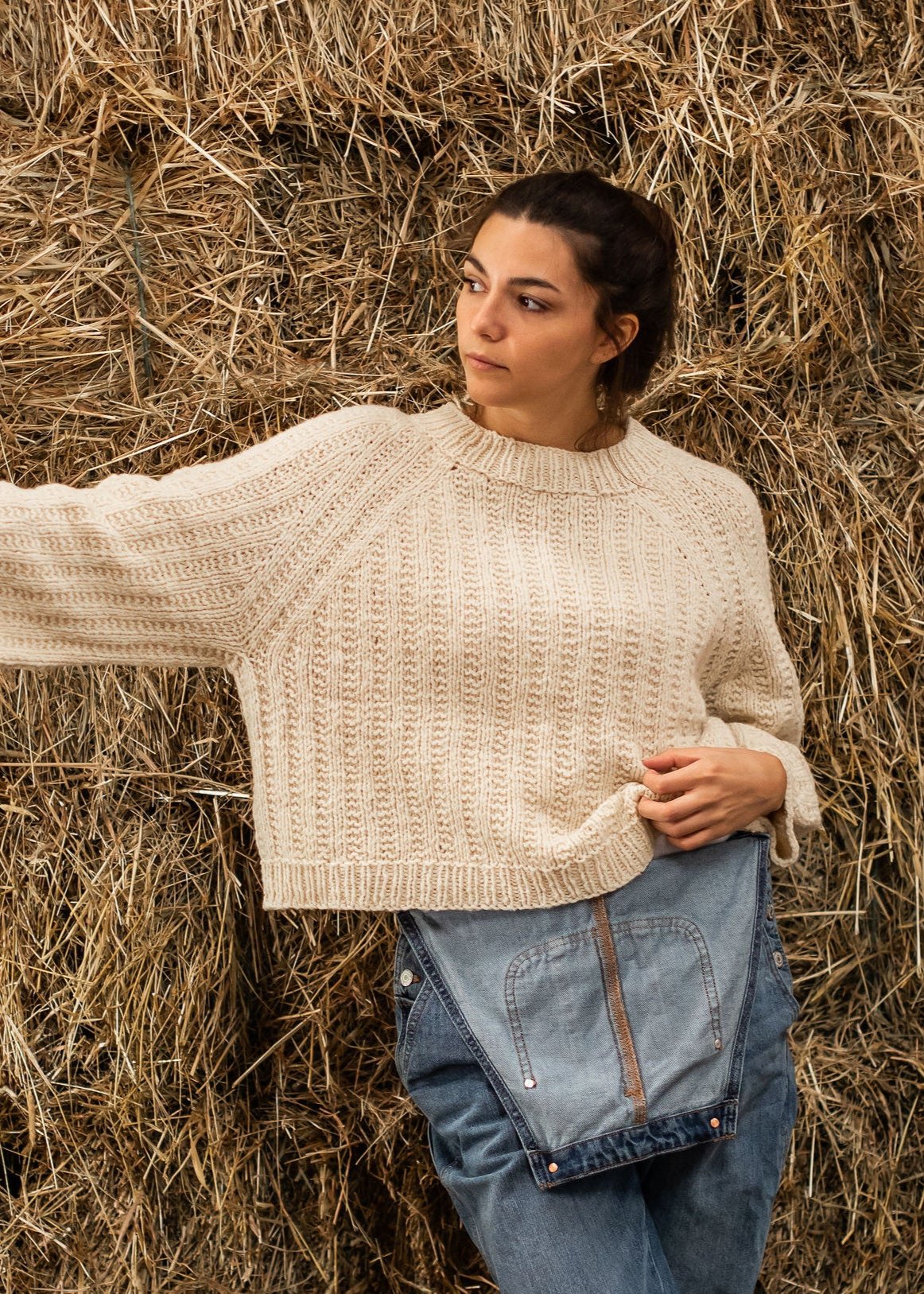 Shear: Merino-Dorset DK